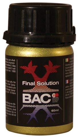 bac-final-solution